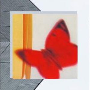 Meet your Posher, Nathan